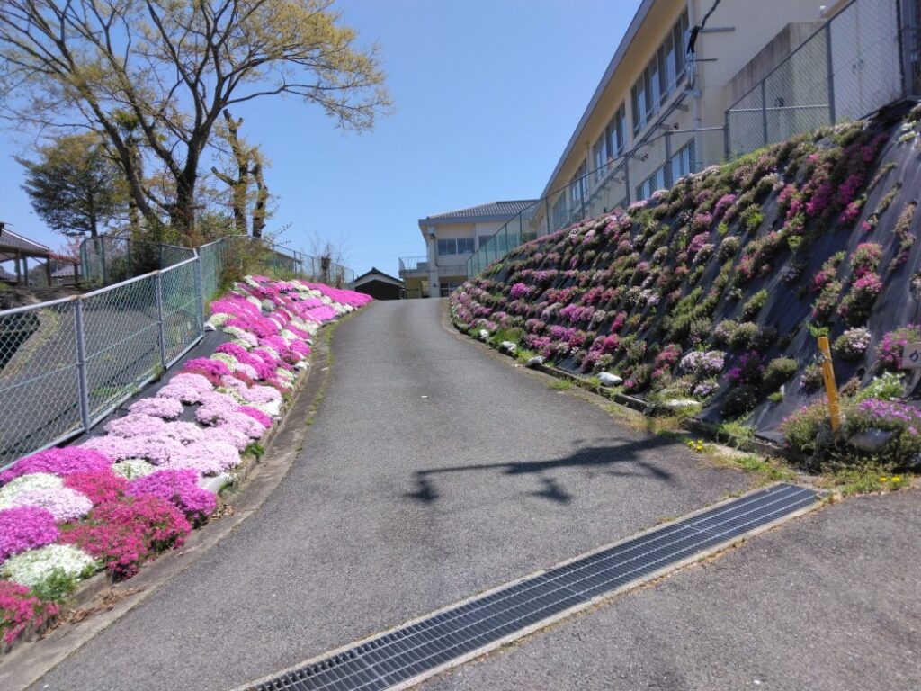 芝桜ロード